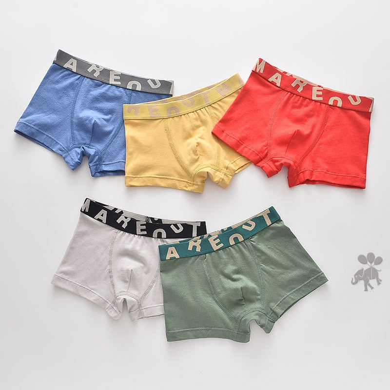 Boys Underwear Children Panties Boys Cotton Boxer Shorts Children&#39;s Panties Kids Underwear For 2-16 years 5 pcs