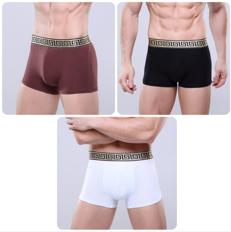 CHENKE365 Brand 3 Pcs/lot New Men&#39;s Boxer U Convex Phnom Penh Cotton Men&#39;s Business Shorts Men Modal Boxer