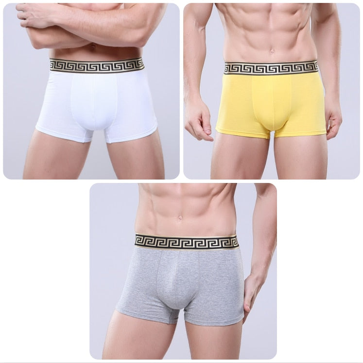 CHENKE365 Brand 3 Pcs/lot New Men&#39;s Boxer U Convex Phnom Penh Cotton Men&#39;s Business Shorts Men Modal Boxer