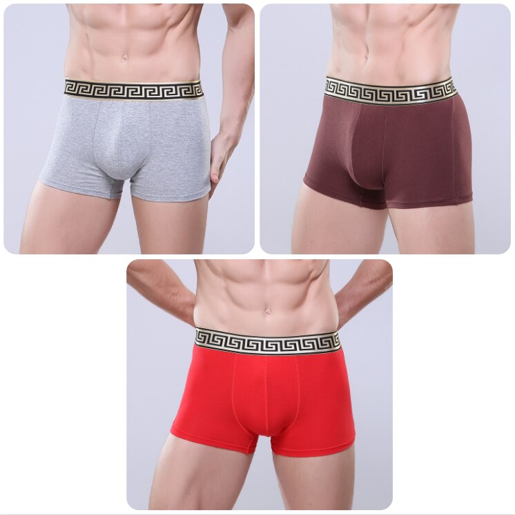 CHENKE365 Brand 3 Pcs/lot New Men&#39;s Boxer U Convex Phnom Penh Cotton Men&#39;s Business Shorts Men Modal Boxer