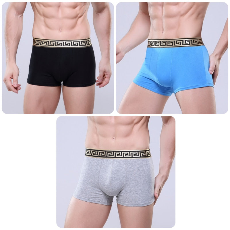 CHENKE365 Brand 3 Pcs/lot New Men&#39;s Boxer U Convex Phnom Penh Cotton Men&#39;s Business Shorts Men Modal Boxer