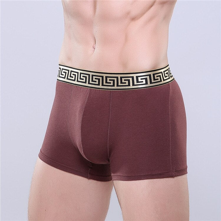 CHENKE365 Brand 3 Pcs/lot New Men&#39;s Boxer U Convex Phnom Penh Cotton Men&#39;s Business Shorts Men Modal Boxer