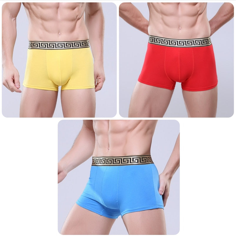 CHENKE365 Brand 3 Pcs/lot New Men&#39;s Boxer U Convex Phnom Penh Cotton Men&#39;s Business Shorts Men Modal Boxer